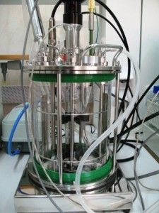 Lab fermenter