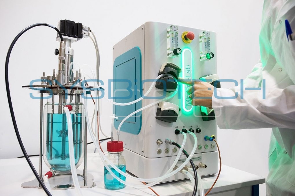 mini_pro_lab1